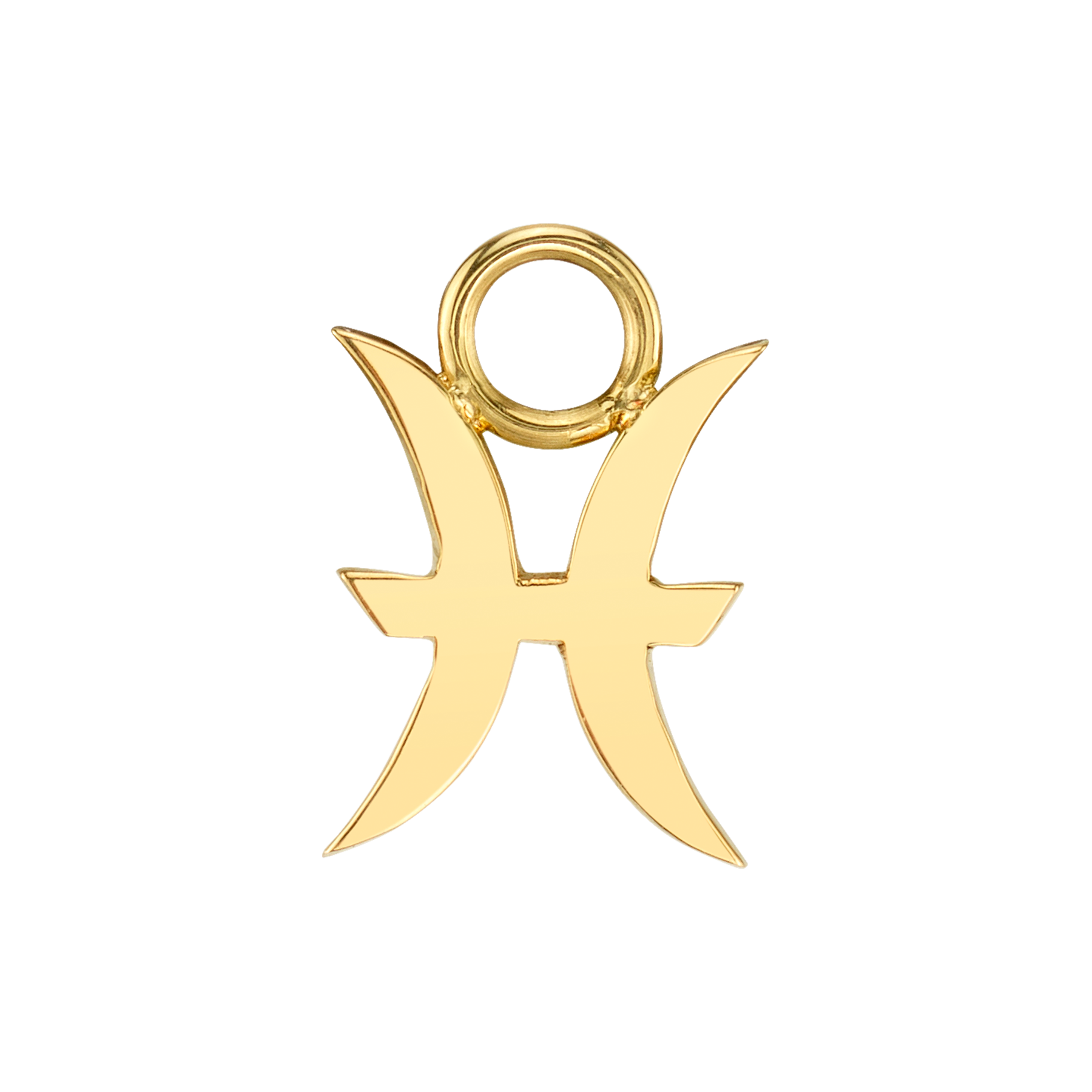 Zodiac Hoop Earring Charm - 14k Yellow Gold – The Last Line